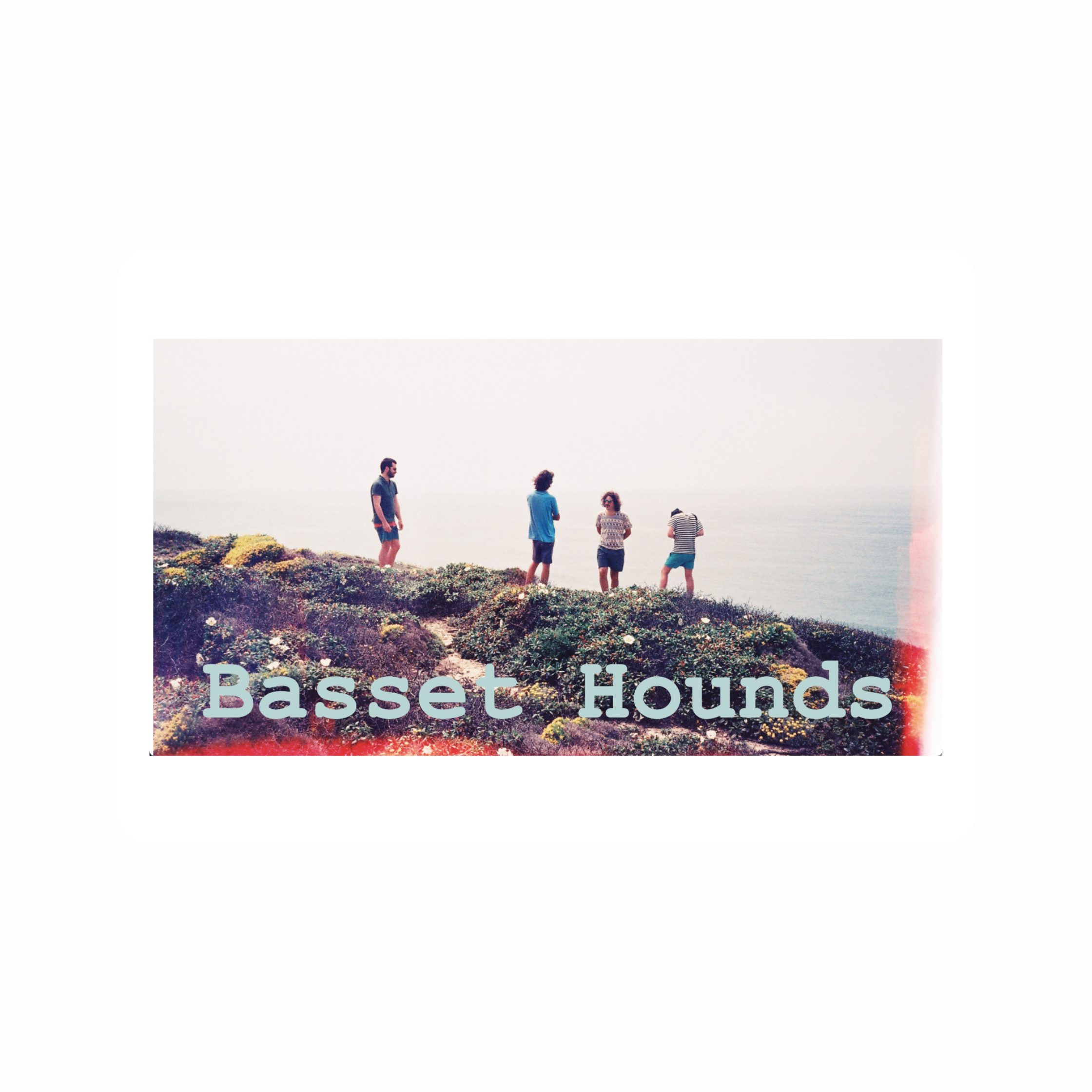 Basset Hounds Band photography